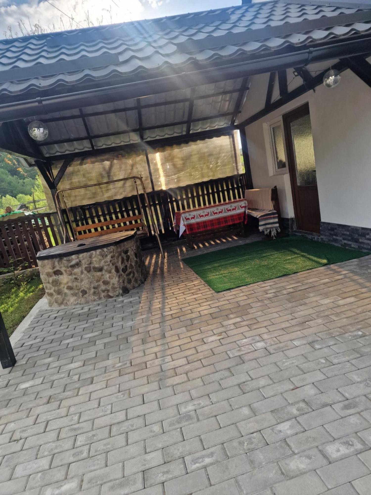 Viseu de Mijloc Casa Roxanaヴィラ エクステリア 写真