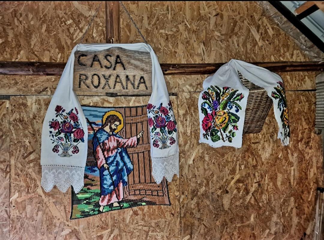 Viseu de Mijloc Casa Roxanaヴィラ エクステリア 写真